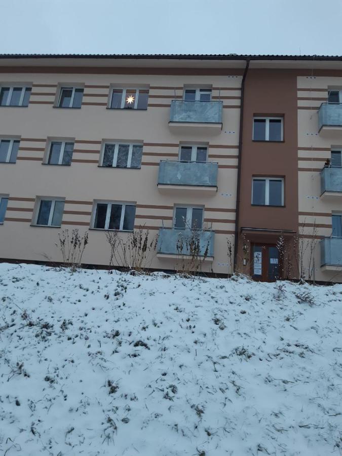 Apartman U Kunstatskeho Mlyna Lejlighed Orlicke Zahori Eksteriør billede